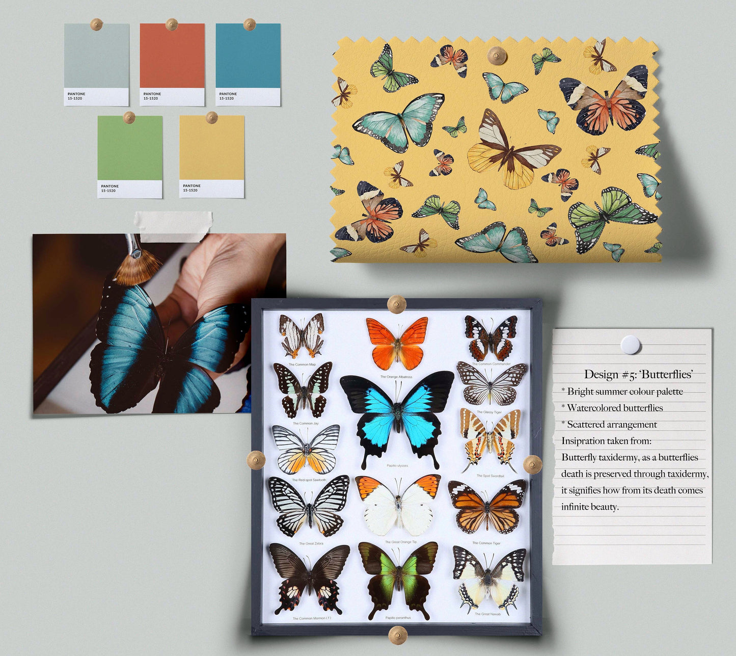 Butterflies
