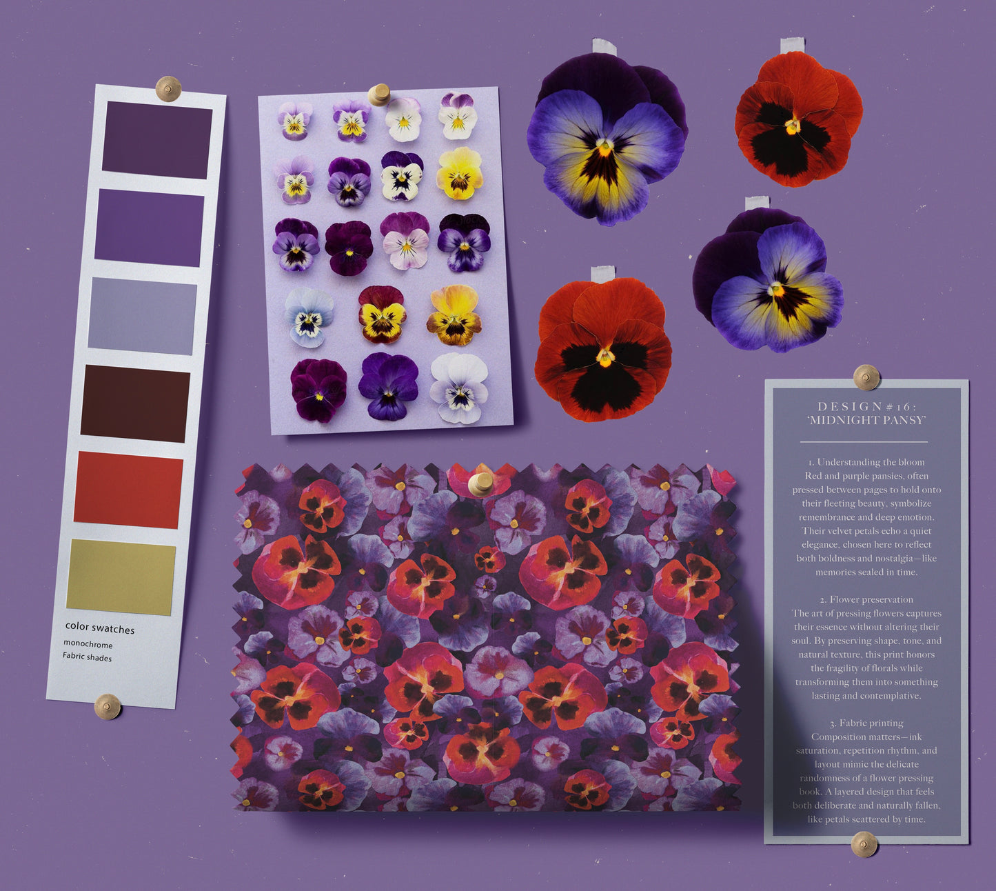 Midnight Pansy