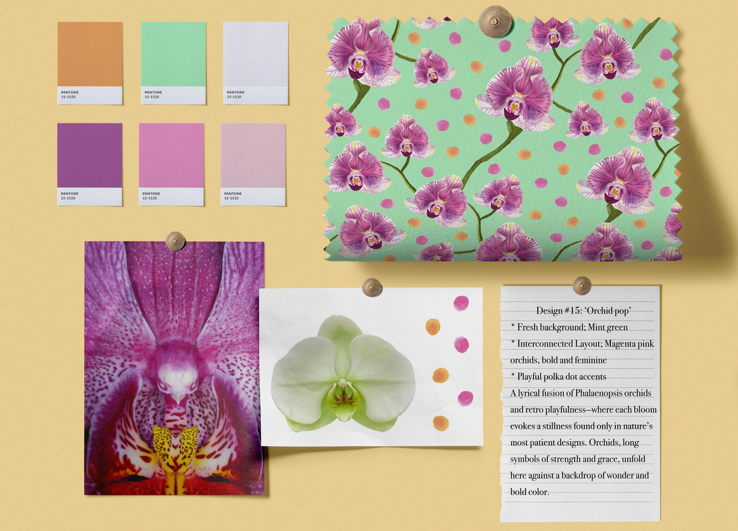 Orchid Pop
