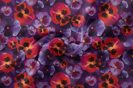 Midnight Pansy