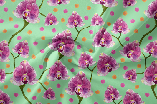 Orchid Pop